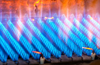 Fiskavaig gas fired boilers